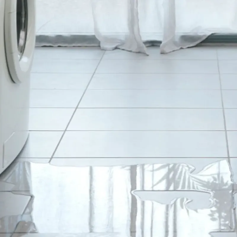 Appliance Leak Cleanup in Jackson County, TX