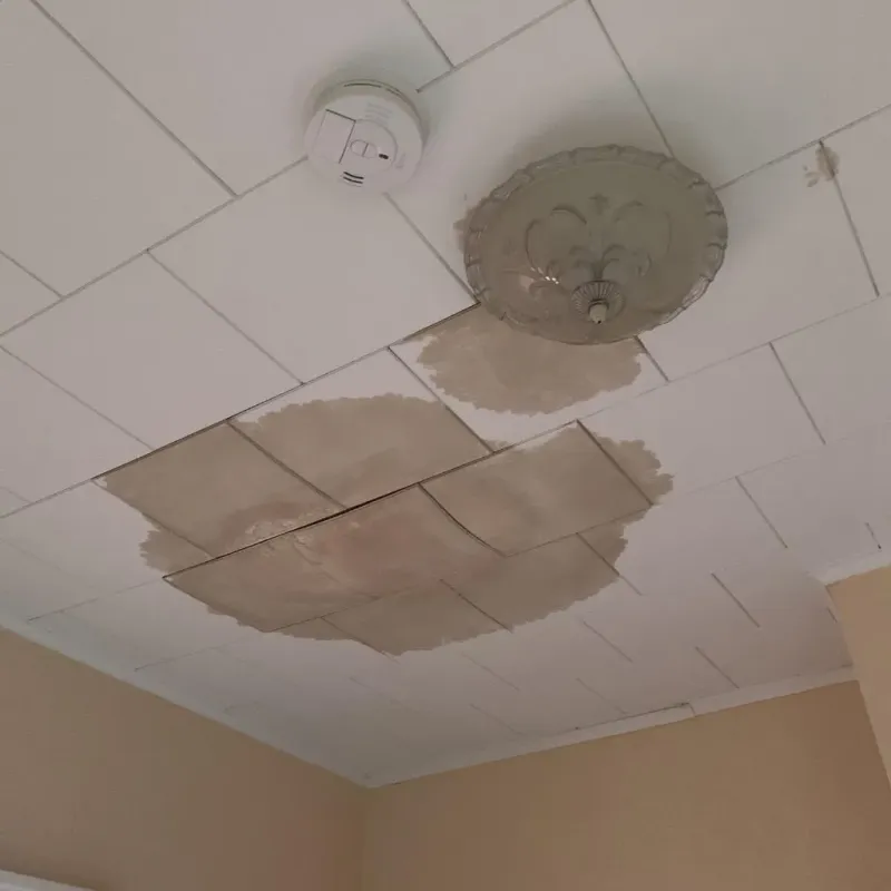 Ceiling Water Damage Repair in Jackson County, TX