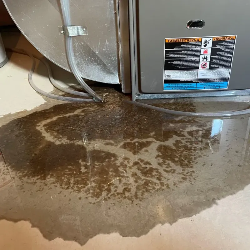 Pipe Burst and Leak Restoration in Jackson County, TX