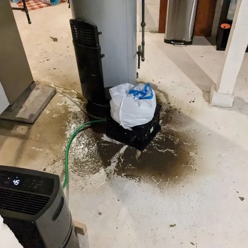 Sewage Backup Cleanup Service in Jackson County, TX